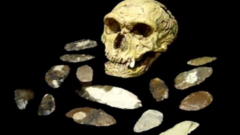 Der lange Marsch zum Homo Sapiens