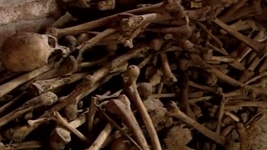 Deutsche Ex-Kolonien außer Rand und Band