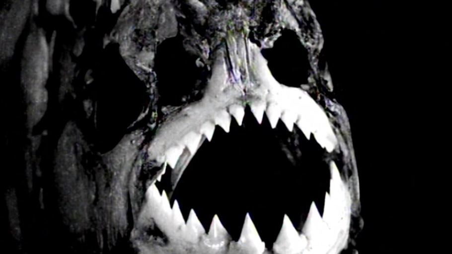 Der Daumen ist der ganze Mensch!