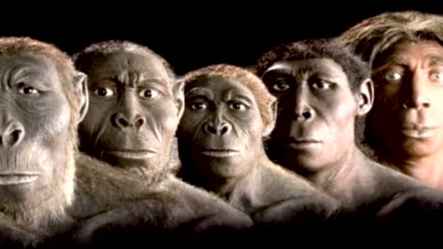 Keine Macht für niemand?