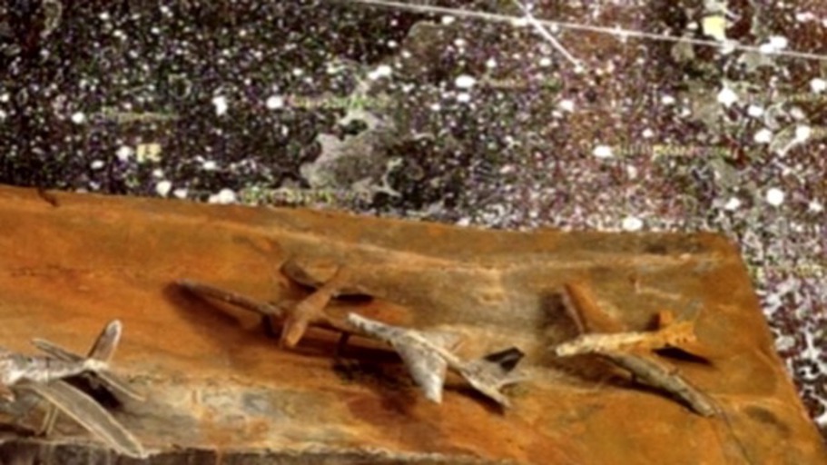 Gärten zweier Welten