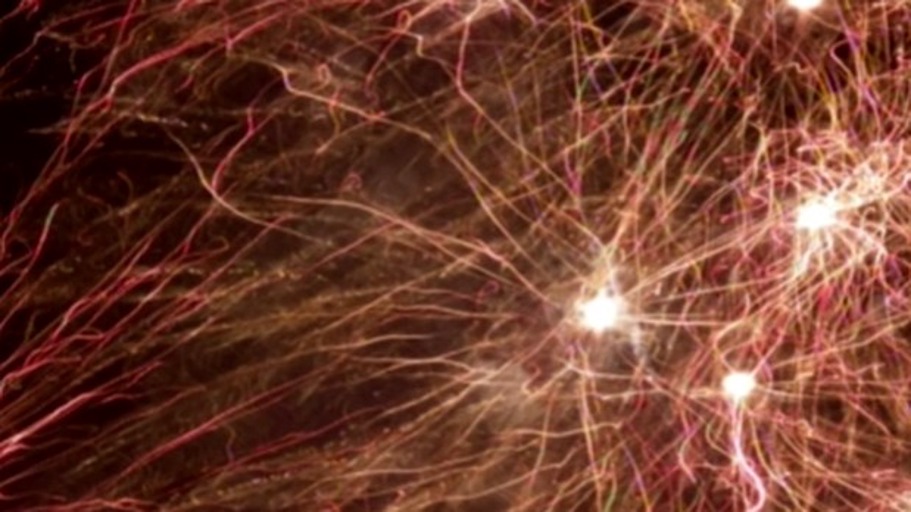 Das Orchester ohne Dirigent