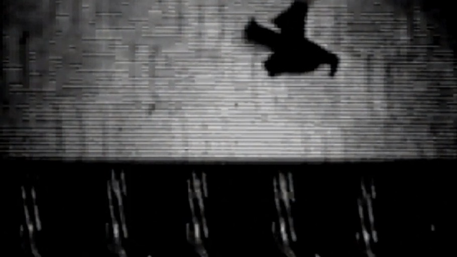 Der 6. Sinn der Echo-Tiere