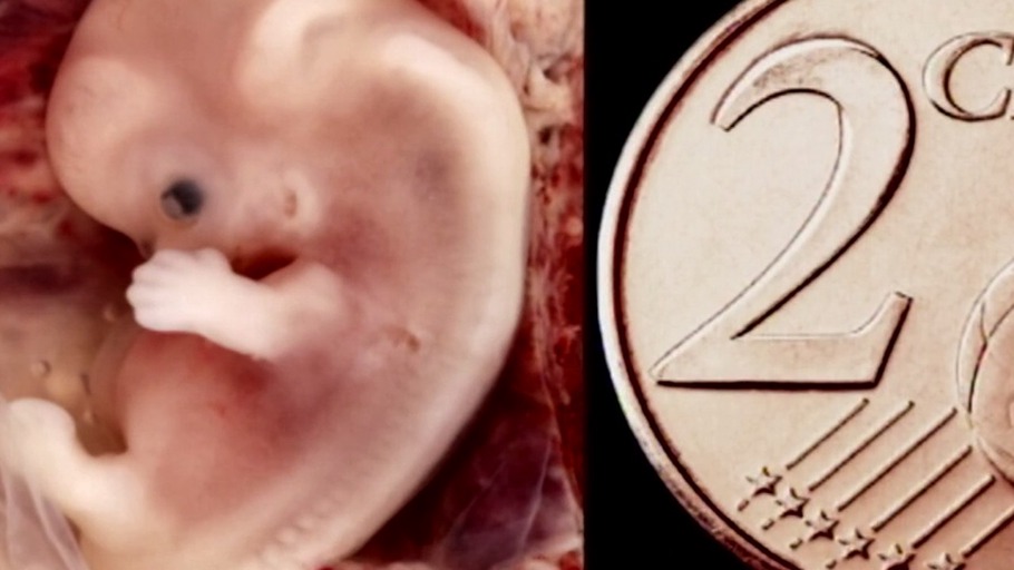 Die Evolution des Gesichts