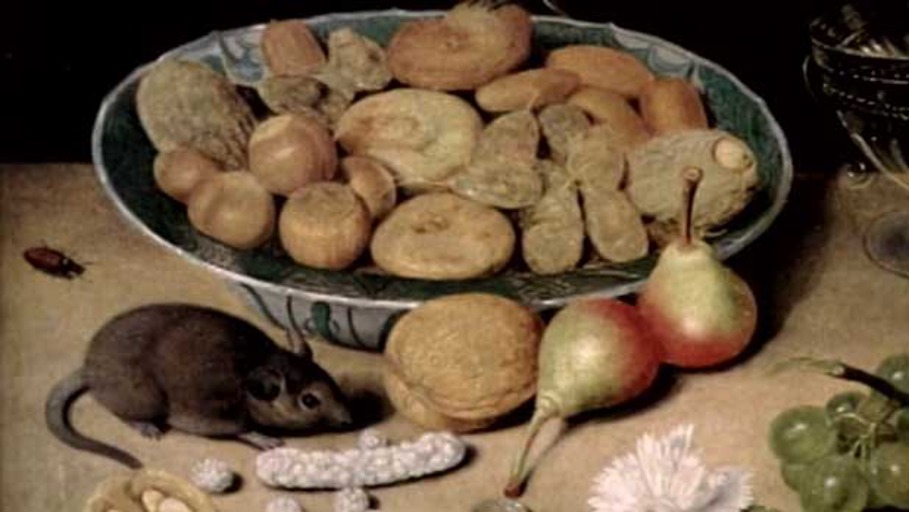 Die Kulturgeschichte der Mausefalle