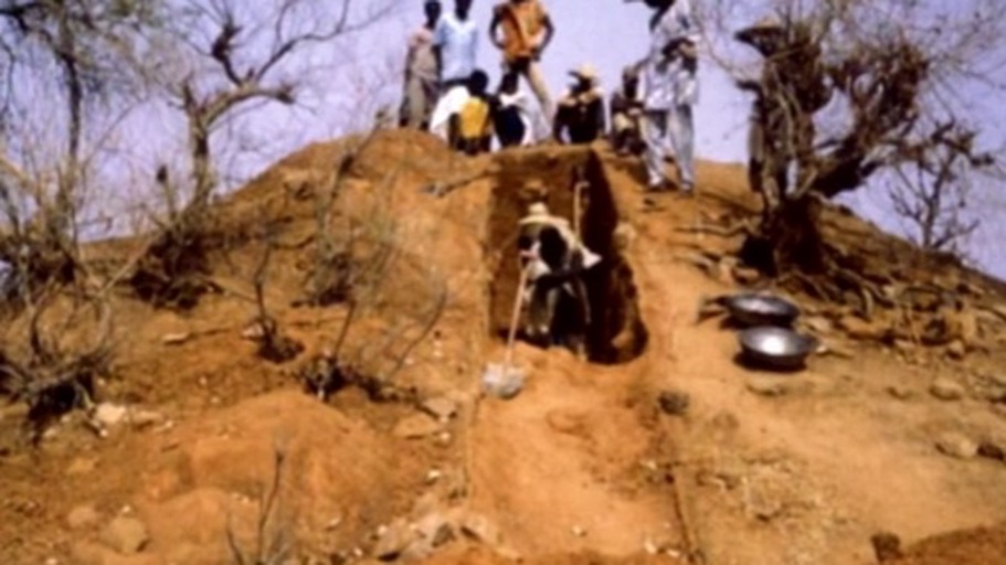 Gold, Sklaven, Elfenbein