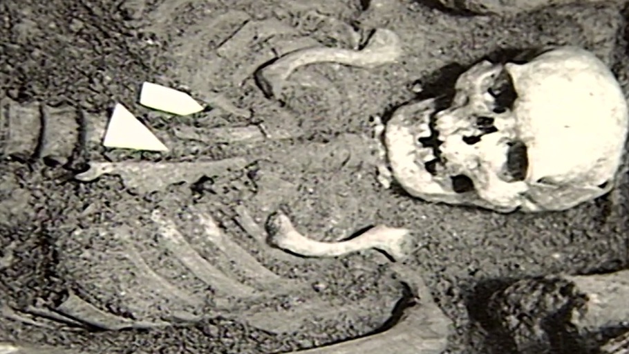 Der tote Körper spricht