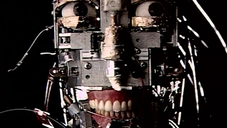 Würden intelligente Roboter Menschen mögen?