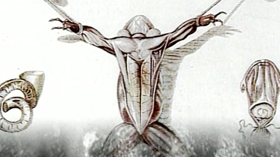 Boten der Plünderung