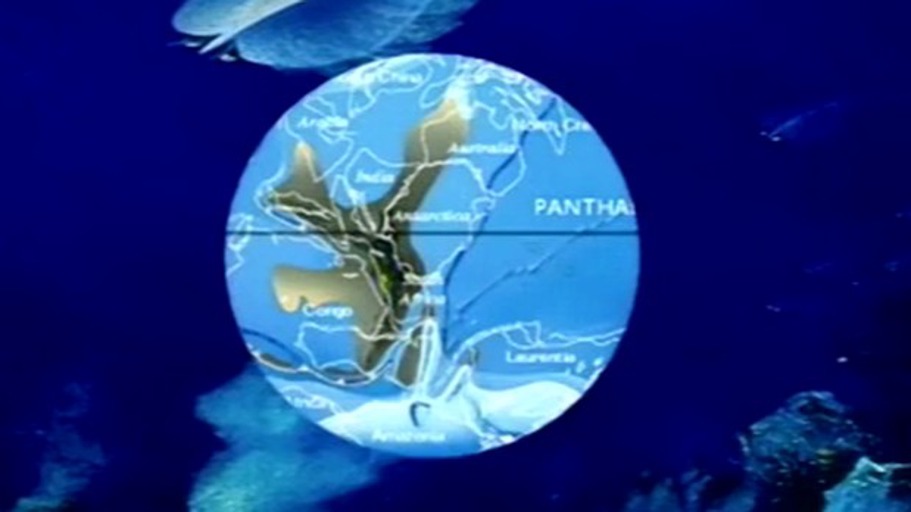 Urknall der Evolution