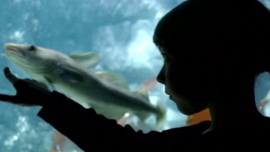 Zu Gast in einer anderen Welt