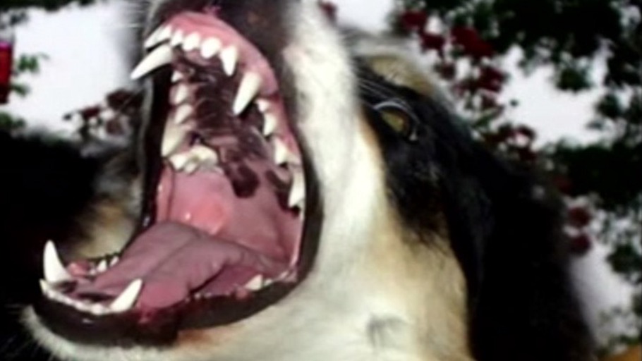 Was hilft mir mein Bauchgefühl?