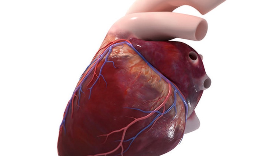 Herz unter dem Messer