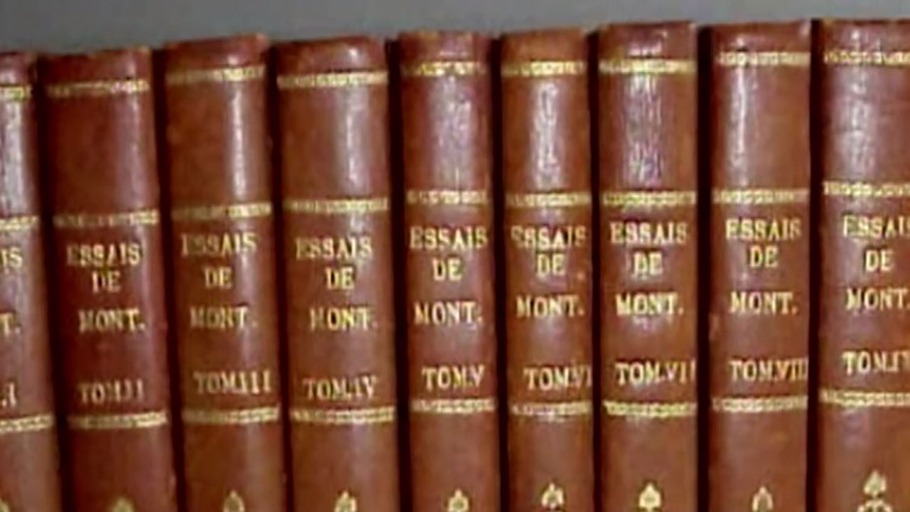 Montaignes Essays