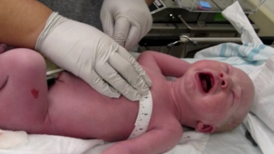 Der Schrei, dem niemand widersteht