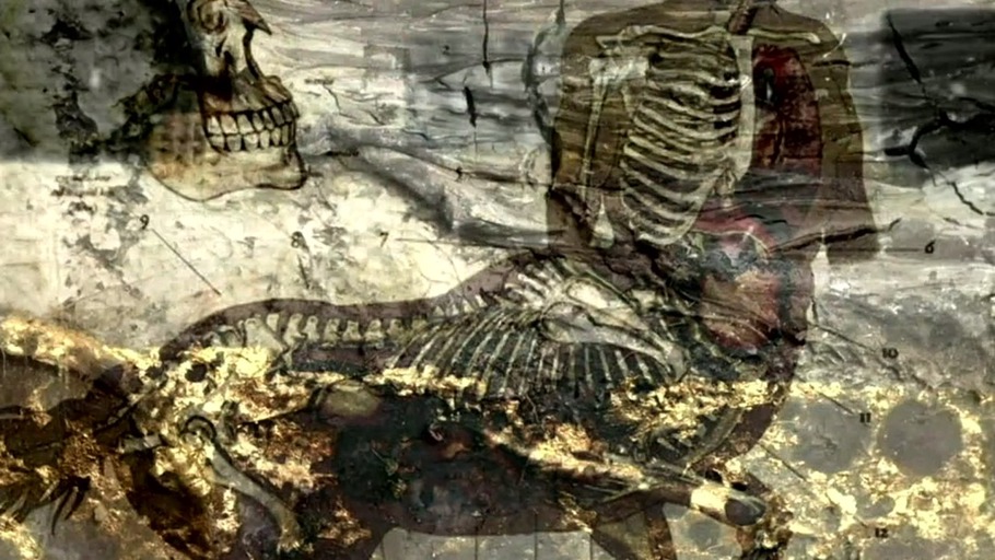 Anatomie eines Kentauren nach Leonardo da Vinci