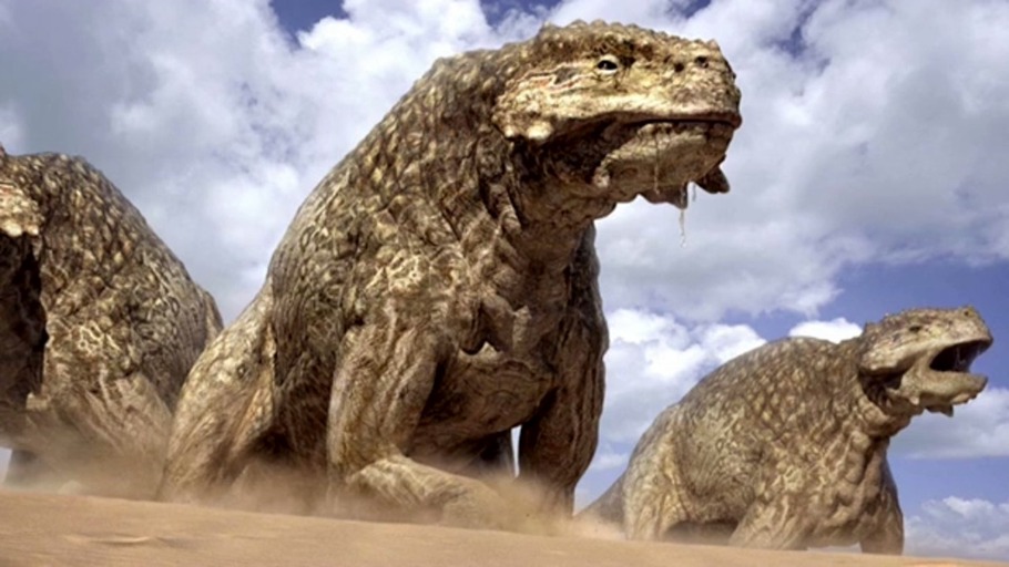 Der lange Marsch der Kontinente