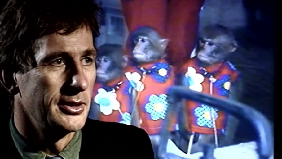 Das Verhältnis der Japaner zu ihrem Kaiserhaus