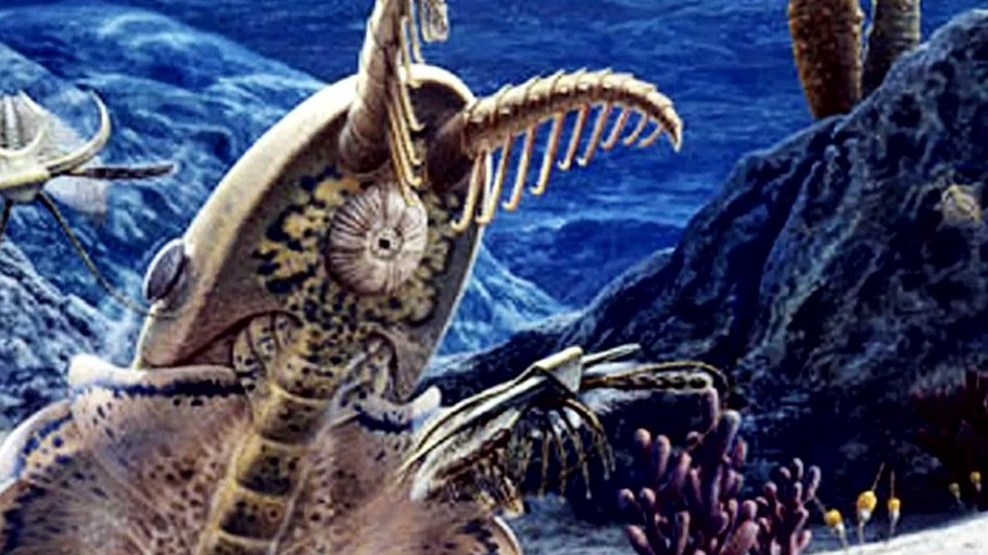 Die Zeit der fremden Ozeane