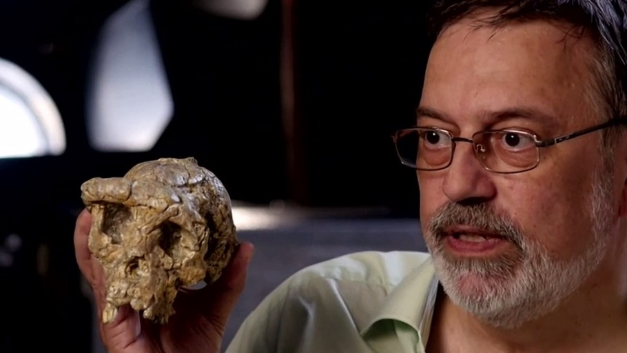 Algorithmen der Evolution