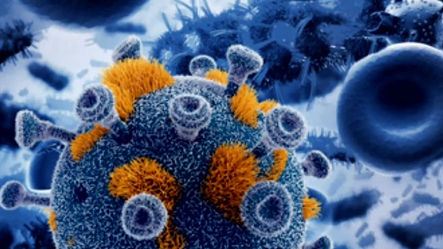 Wer sind eigentlich WIR?