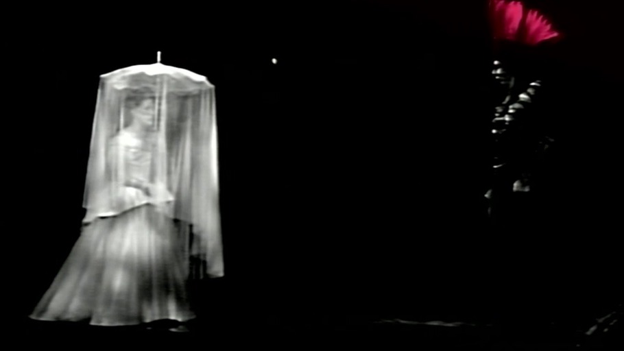 Der edle Wilde in der Oper