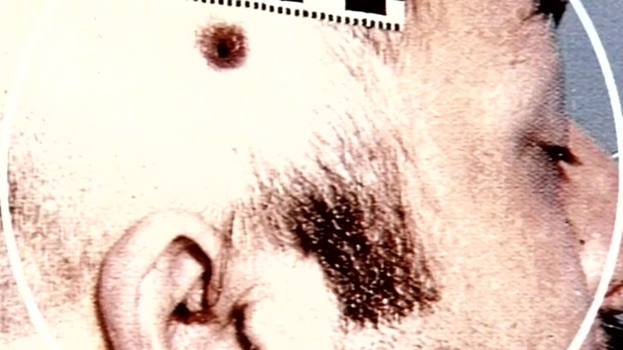 Biochemie der Gewalt