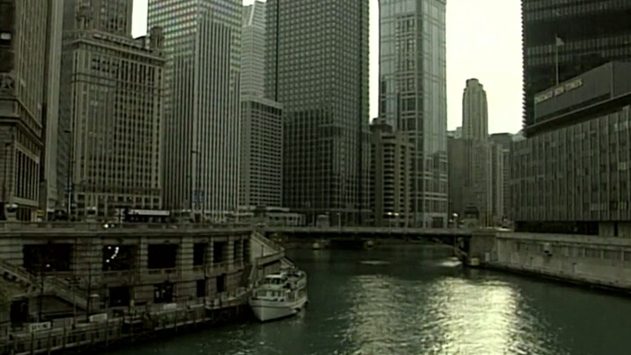 Sumpfzwiebel Chicago