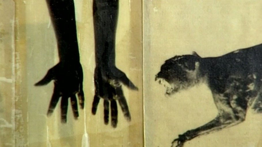 Wie macht man Bilder?