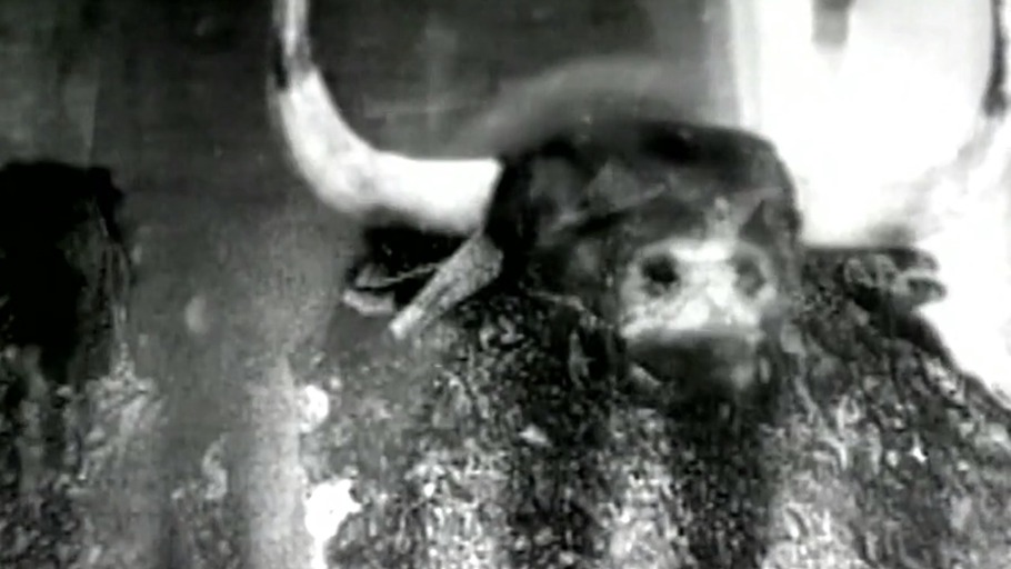 Begnadigung unwahrscheinlich