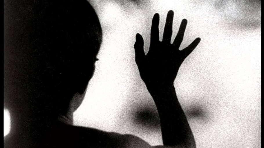 Eine Geschichte des Gesichts