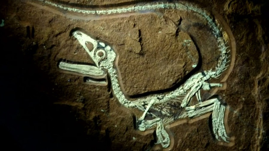 Die Raubsaurier von Pangäa