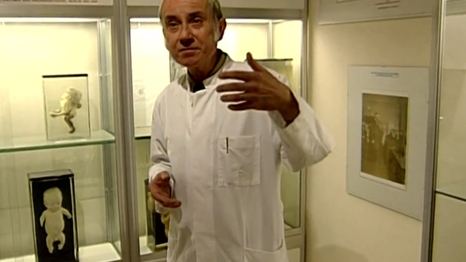 Die gläsernen Sarkophage