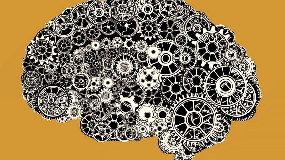 Hat das Gehirn einen eigenen Kopf?