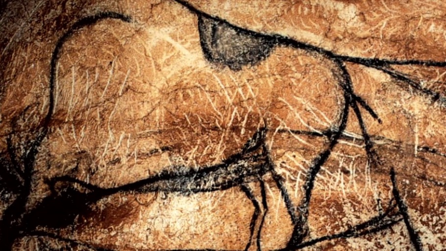 Intelligenz, Erfahrung, Intuition