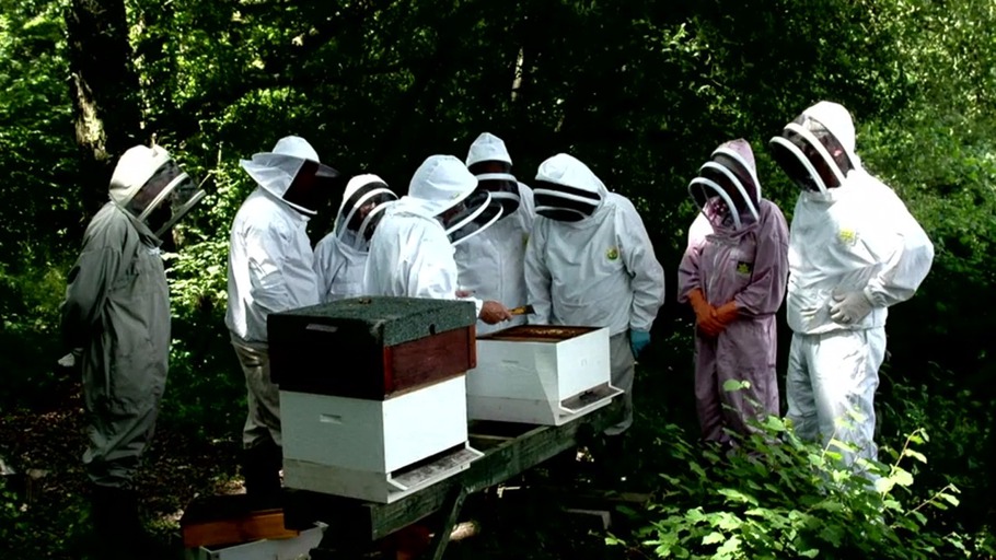 Der Geist der Bienen