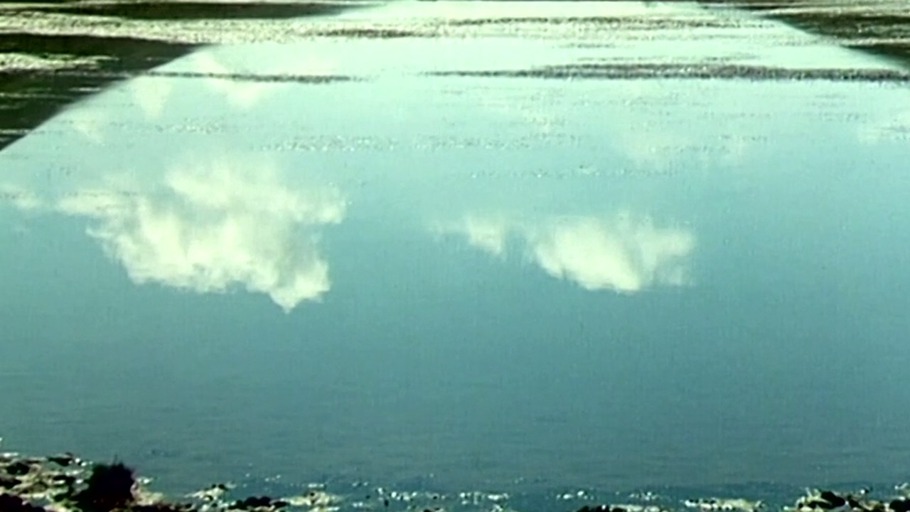 Von der Gewaltsamkeit des guten Willens