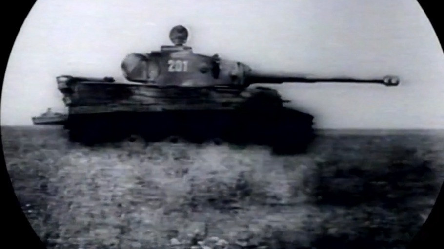 "Darwin und die Panzerwaffe"