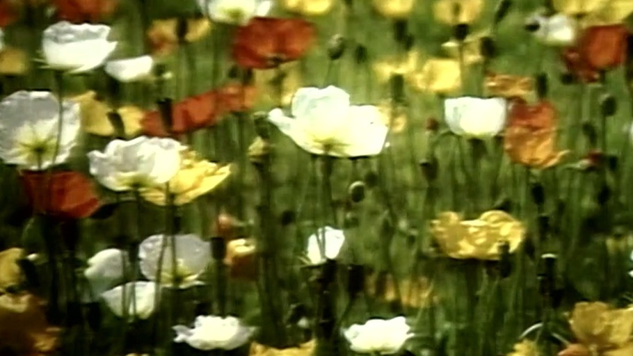 Die vier Kunstrichtungen des technischen Zeitalters heißen: episch, dramatisch, lyrisch & hysterisch