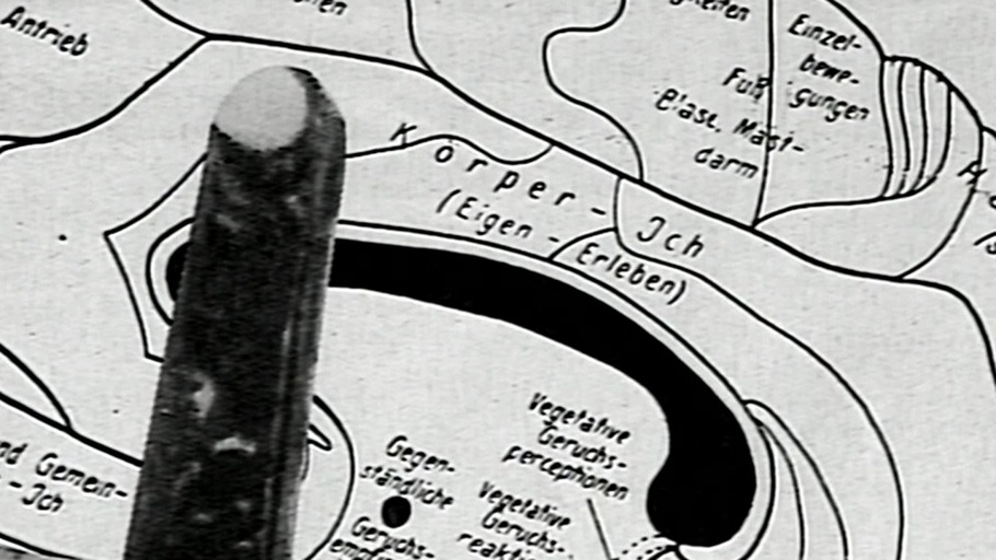 Männlichkeitstyp und Gewalt