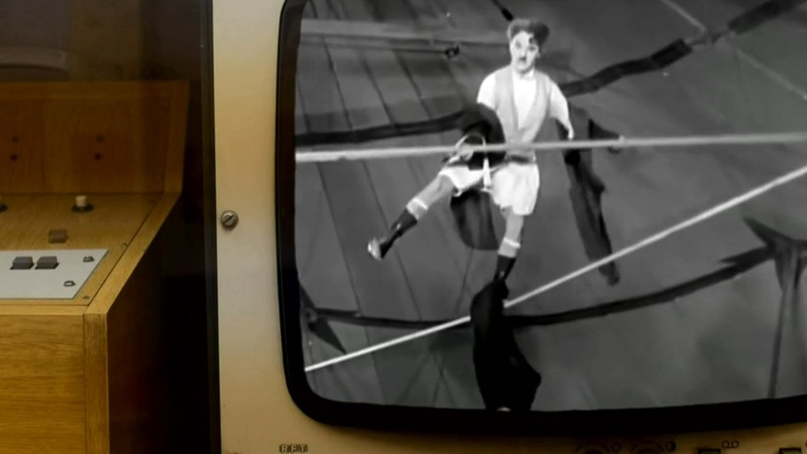 Die Vernunft ist ein Balancetier