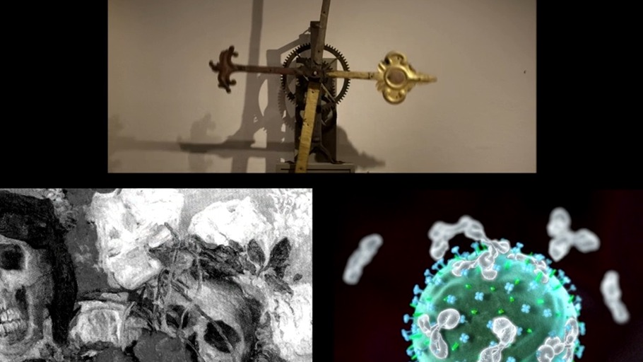 Das Virus und seine tödlichen Folgen