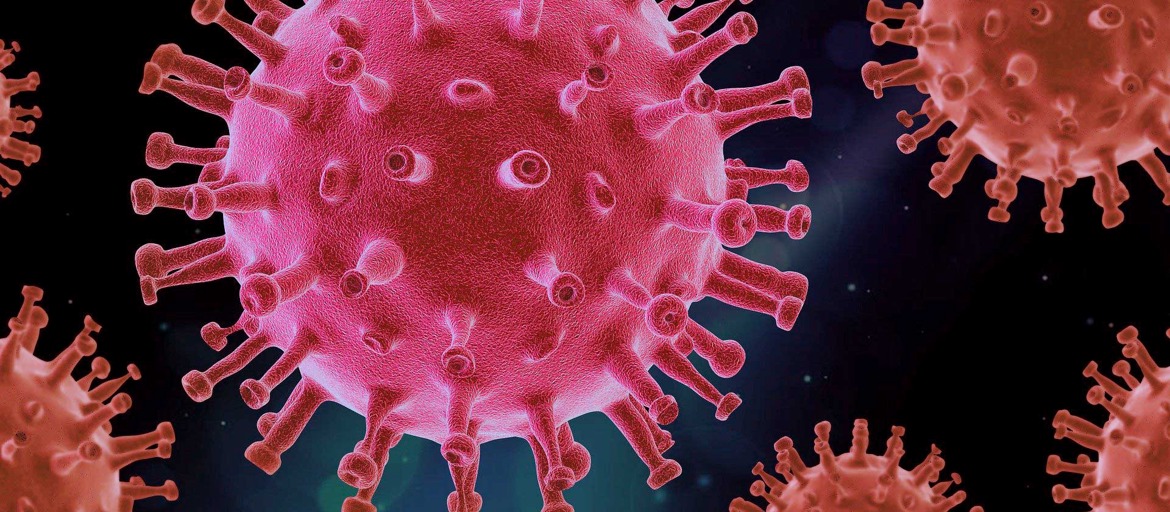 Corona 2020 - Das Virus und wir