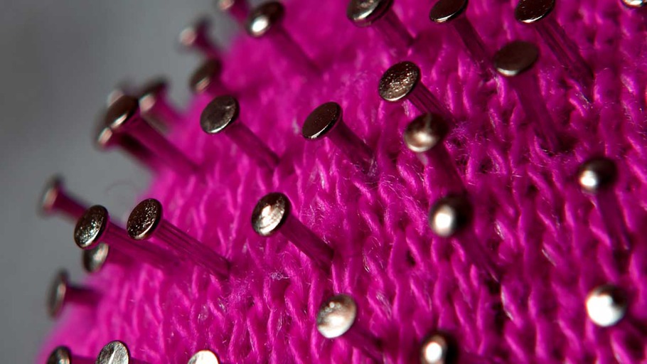 Die Evolution im Zeitraffer