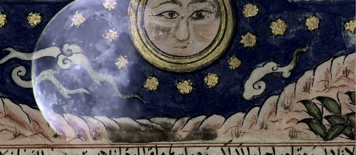 Station 8 - Ulmer Wunderkammer