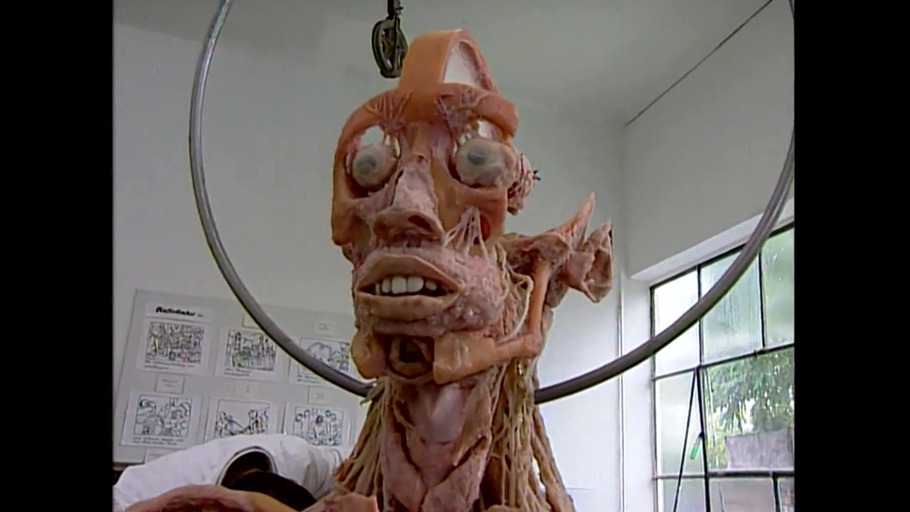 Der Traum von der Unvergänglichkeit