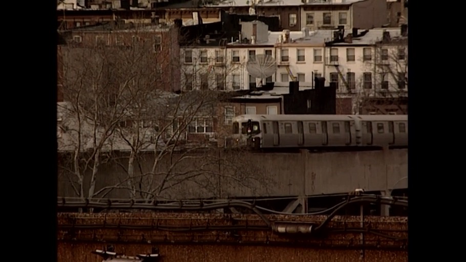Wolkenkratzer und Sandschweine